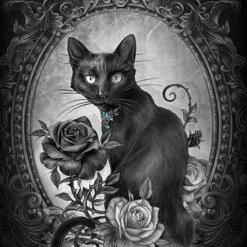 Alchemy Paracelsus - The Philosophers Familiar Surface Pro 9 Skin