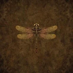 Steampunk & Gear Dragonfly By Brigid Ashwood IPhone 15 Skin -Skinit Store ASHDFY02 5b10e4bb 1e37 412f ace2 5e870a37ca48