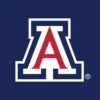 University Of Arizona Primary Mark Apple Pencil (2nd Gen 2019) Skin -Skinit Store AZWDCT08 78e99418 ac26 4998 b954 7fefc25c7707