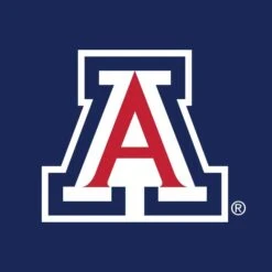 University Of Arizona Primary Mark Apple Pencil (2nd Gen 2019) Skin