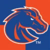 Boise State University Broncos Checkered Apple Pencil (2nd Gen 2019) Skin