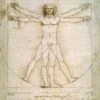 Da Vinci - The Proportions Of Man By Da Vinci Magic Keyboard Skin -Skinit Store BRGDAV02 8ef0876b 38e3 4418 9c54 8eecb124376d