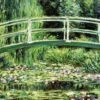 Claude Monet White Waterlilies, 1899 Beats Solo 3 Wireless Skin