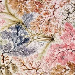 Textile Design By William Kilburn Beats Solo 2 Wireless Skin