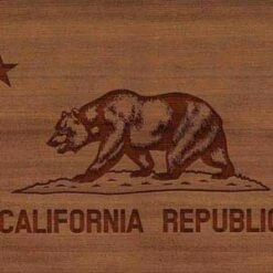 California Wood Flag IPhone Charger (5W USB) Skin