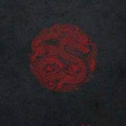 Red Dragon Surface Pro 6 Skin