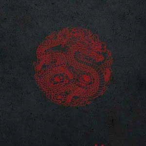 Red Dragon Surface Pro 6 Skin 3 Red Dragon Surface Pro 6 Skin