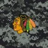 NHL Chicago Blackhawks Camo Beats Solo 2 Wireless Skin -Skinit Store CMONHLX2 5f1ecb4a c8e3 4021 8f63 751d1f7145db