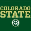 Colorado State University CSU Apple Pencil (1st Gen, 2017) Skin