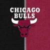 NBA Chicago Bulls Canvas Apple Pencil (1st Gen, 2017) Skin -Skinit Store CVSNBA05 8ab7b4fa 5e57 4e38 b98e bad691b7b512