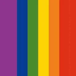 Vertical Rainbow Flag Beats Solo 2 Wireless Skin