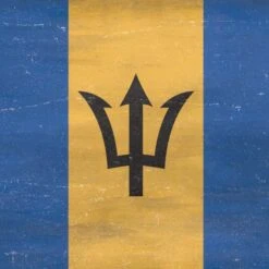 Barbados Flag Distressed IPhone 15 Skin -Skinit Store FLGDIS33 f3c7f82f 5a66 4245 8b01 4ef62668c0e9
