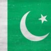 Pakistan Flag Distressed Apple Pencil (1st Gen, 2017) Skin -Skinit Store FLGDIS46 d264d52d 4ab3 4c12 9767 1a9261341985