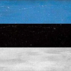 Estonia Flag Distressed IPhone Charger (5W USB) Skin