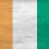 Ivory Coast Flag Distressed Beats Solo 3 Wireless Skin -Skinit Store FLGDIS93 3807c52e 5873 4b3d 96f8 30480ca84ed6