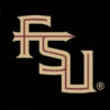 Florida State FSU Seminoles Black Apple Pencil (2nd Gen 2019) Skin -Skinit Store FLSTSM05 0f8b796e b6da 4acc b0e4 8a92731e5110