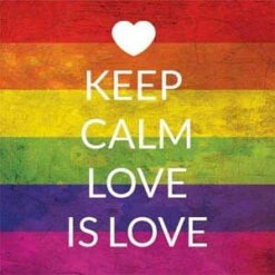 Keep Calm Love Is Love Surface Pro 8 Skin