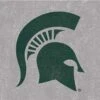 Michigan State University Grey Spartans Logo Beats Solo 2 Wireless Skin -Skinit Store MICHSS02 6e0b73f6 96dd 4880 9d83 0d6f8cb065b2