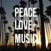 Peace Love And Music Apple Pencil (1st Gen, 2017) Skin -Skinit Store MSICXX39 80fb880b 465d 469c 846a bc203737094d