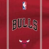 NBA Chicago Bulls Jersey PowerBeats Pro Skin -Skinit Store NBAJRS05 94b9a2f7 cbb7 4969 bf77 1702dcd5473f