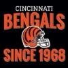 NFL Cincinnati Bengals Helmet Beats Solo 2 Wireless Skin -Skinit Store NFLHLMX9 ab91bd33 dadd 46b7 a188 bcd52abb4555