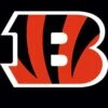 NFL Cincinnati Bengals Large Logo Surface Pro 7 Skin -Skinit Store NFLLGO13 018aafed 9b4a 4526 badf 61a49260b563