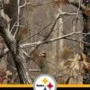 NFL Realtree Camo Pittsburgh Steelers Beats Solo 2 Wireless Skin -Skinit Store RTCNFL04 aca2956c b120 42e7 8604 6113ed2cb22d