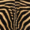 Zebra Surface Pro 6 Skin