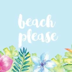 Beach Please IPhone Charger (5W USB) Skin
