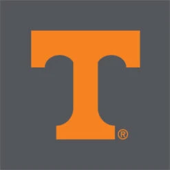 University Of Tennessee-Knoxville T Logo Vols On Gray Google Pixel 7 Pro Skin