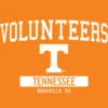 University Of Tennessee-Knoxville Volunteers Apple Pencil (1st Gen, 2017) Skin -Skinit Store TENUNI08 f56c3d42 6e1a 4461 81dc f2bcc8b422d3