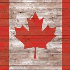 Canadian Flag Dark Wood Beats Solo 3 Wireless Skin