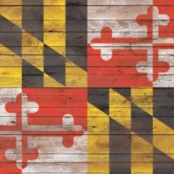 Maryland Flag Dark Wood Beats Solo 2 Wireless Skin