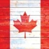 Canada Flag Light Wood Beats Solo 2 Wireless Skin -Skinit Store TFLTWD03 efadbf00 cfb0 4d13 b533 85c07e50330a