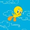 Looney Tunes Tweety Bird Flying Surface Pro 7 Skin -Skinit Store TWEETY04 e8734707 8dba 414b 8117 6c5e06ee4d18