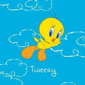 Looney Tunes Tweety Bird Flying Surface Pro 7 Skin 3 Looney Tunes Tweety Bird Flying Surface Pro 7 Skin