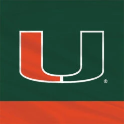 University Of Miami Hurricanes Flag Apple Pencil (1st Gen, 2017) Skin