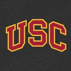 University Of Southern California USC Official Logo Beats Solo 3 Wireless Skin