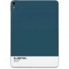 Bluesteel Color Palette Apple IPad Pro Skin