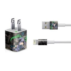 DC Comics Catwoman Vintage Action Pose Pattern IPhone Charger (5W USB) Skin