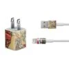 Alphonse Mucha Cycles Perfecta IPhone Charger (5W USB) Skin