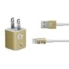Georgia Institute Of Technology GT With Mascot IPhone Charger (5W USB) Skin -Skinit Store gt iphone charger 5w usb skin 1678997474 SKNGEOTEC06AA1385 PR 01