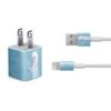 Disney Frozen Ice Blue Elsa Art IPhone Charger (5W USB) Skin -Skinit Store ice blue elsa iphone charger 5w usb skin SKNDSFRZN19AA1385 PR 01