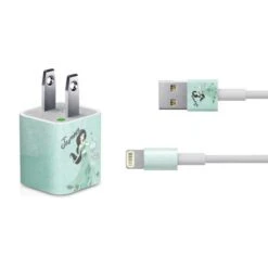 Disney Princess Jasmine Art IPhone Charger (5W USB) Skin