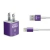 NBA Sacramento Kings Standard - Purple IPhone Charger (5W USB) Skin -Skinit Store sacramento kings standard purple iphone charger 5w usb skin 1507590665 SKNNBATMS26AA1385 PR 01