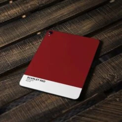 Scarlet Red Apple IPad Pro Skin -Skinit Store scarlet red ipad pro 11in 2018 skin 1556567095 SKNSLDPNT05IPRO11 PR 04