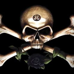 Alchemy Skull And Crossbones Dell Alienware Skin -Skinit Store skull and crossbones alienware 17in 2017 skin 1708634337 SKNALCHYC07AL17FL PR 04