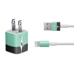 Disney Tinker Bell Color Block IPhone Charger (5W USB) Skin